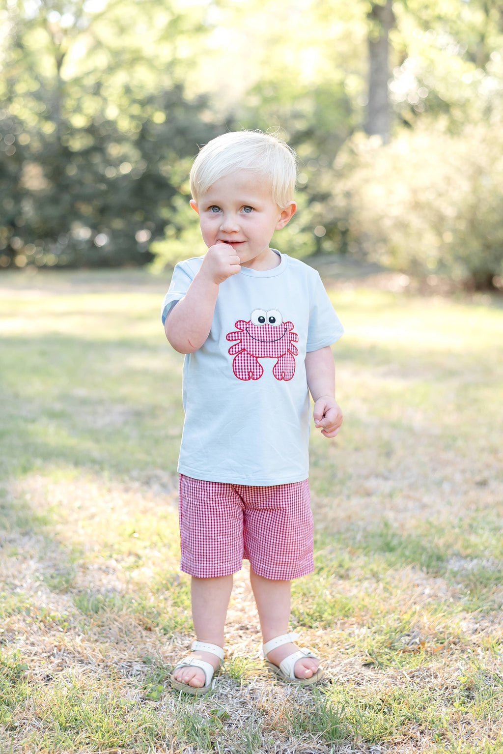 Blue Crab Shirt and Red Gingham Shorts Set: 4T