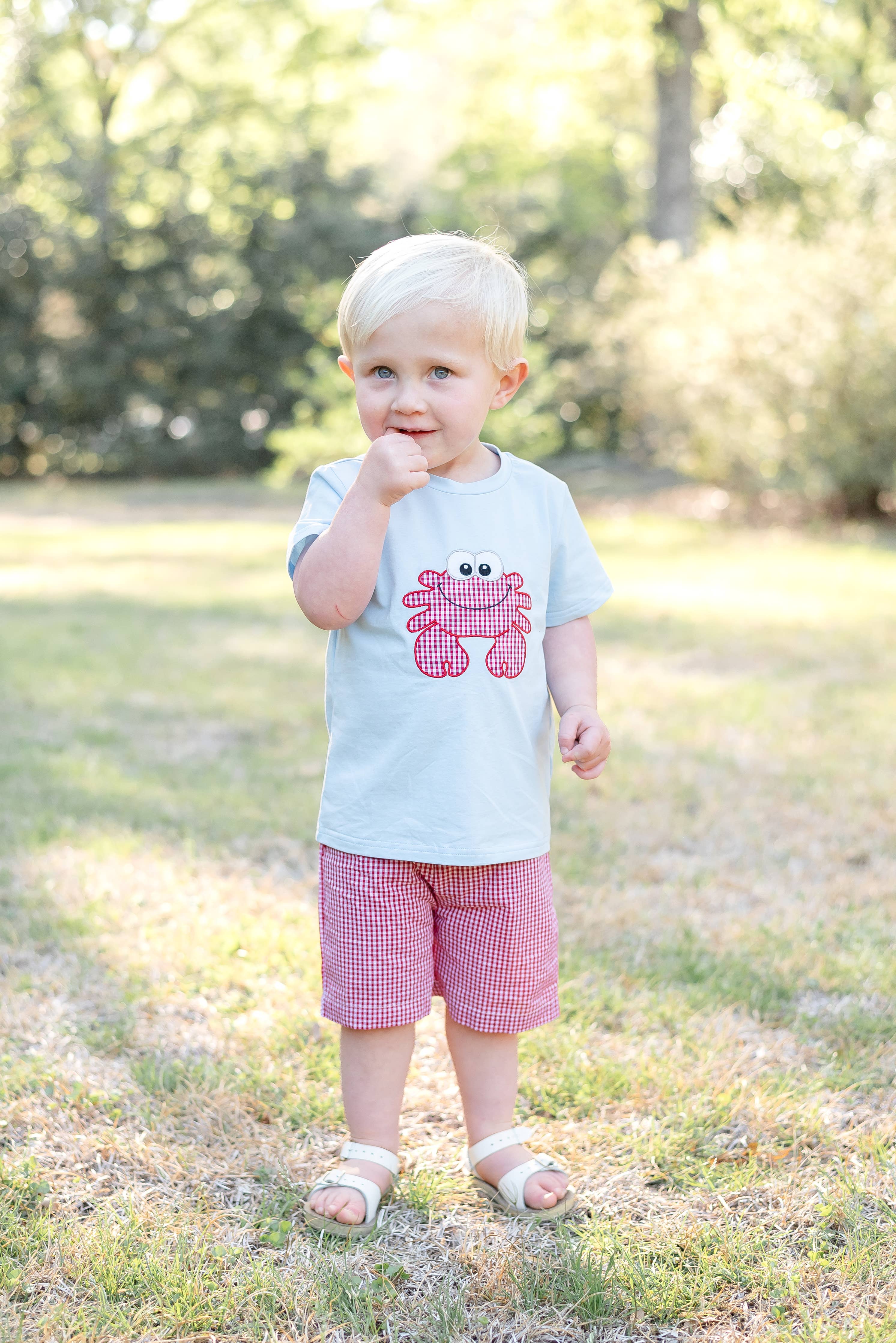 Blue Crab Shirt and Red Gingham Shorts Set: 4T